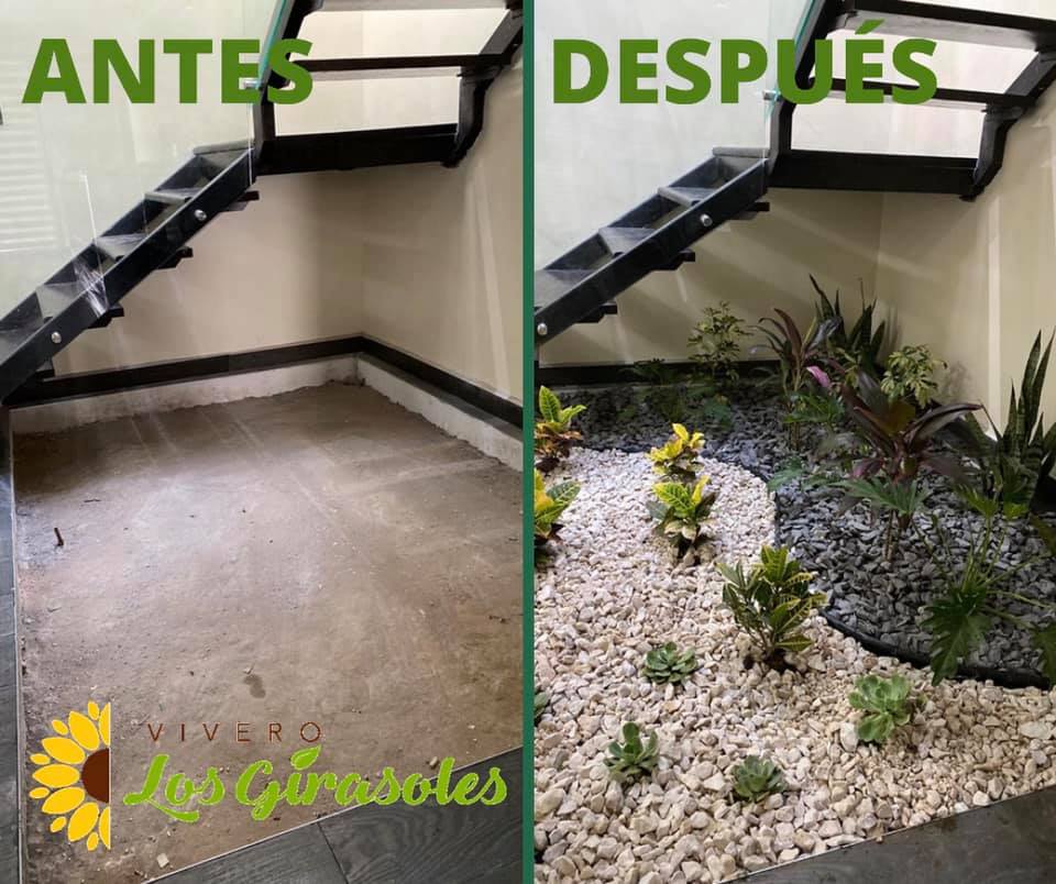 Antes y después de jardín interior