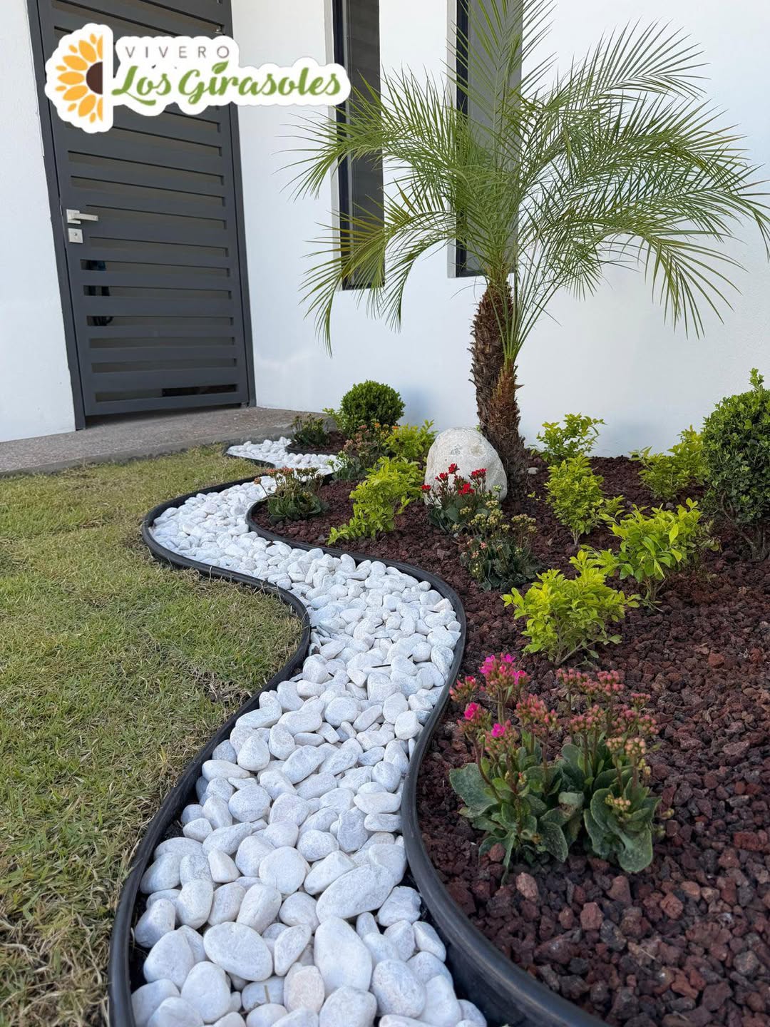 Jardín con palma y plantas ornamentales